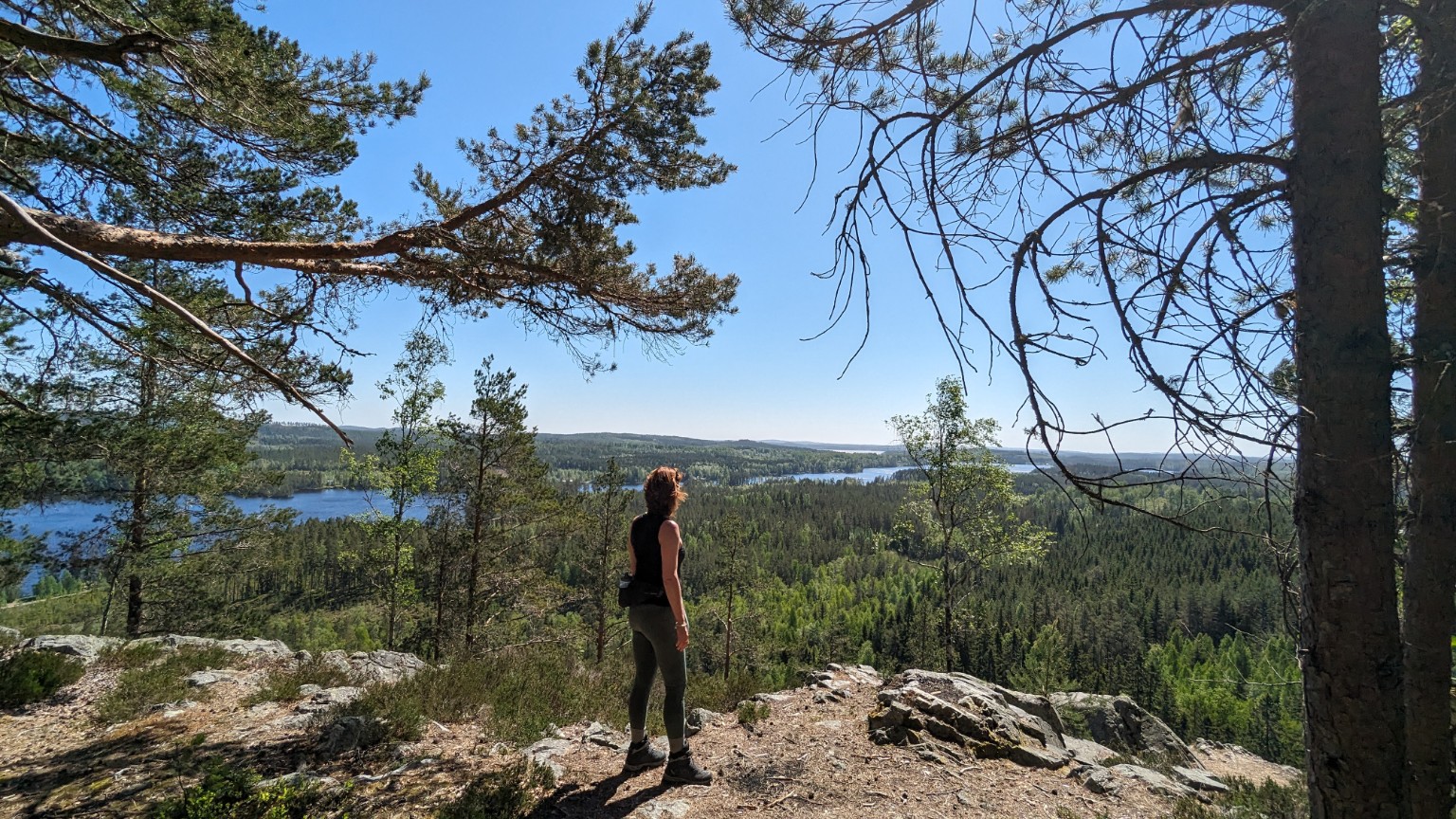 Wandeling met uitzicht over de Zweedse bossen